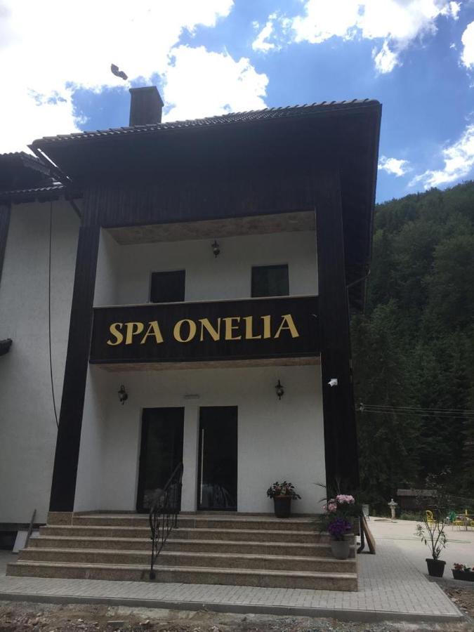 Pension Onelia Гырда-де-Сус Экстерьер фото