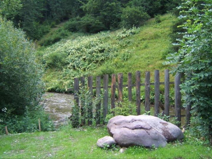 Pension Onelia Гырда-де-Сус Экстерьер фото